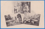 IMG 0013