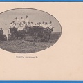 IMG 0012