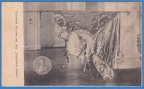 IMG 0011